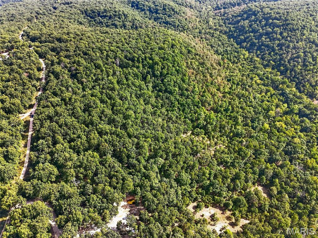 WHITETAIL RIDGE - Land