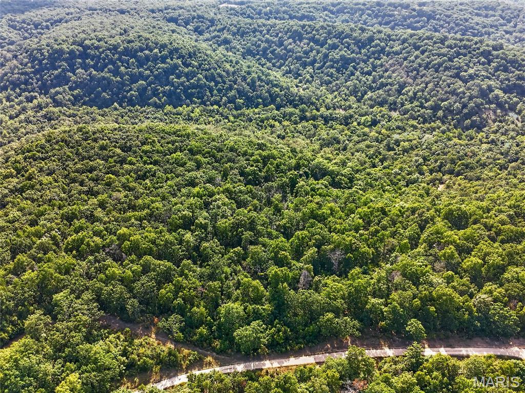 WHITETAIL RIDGE - Land