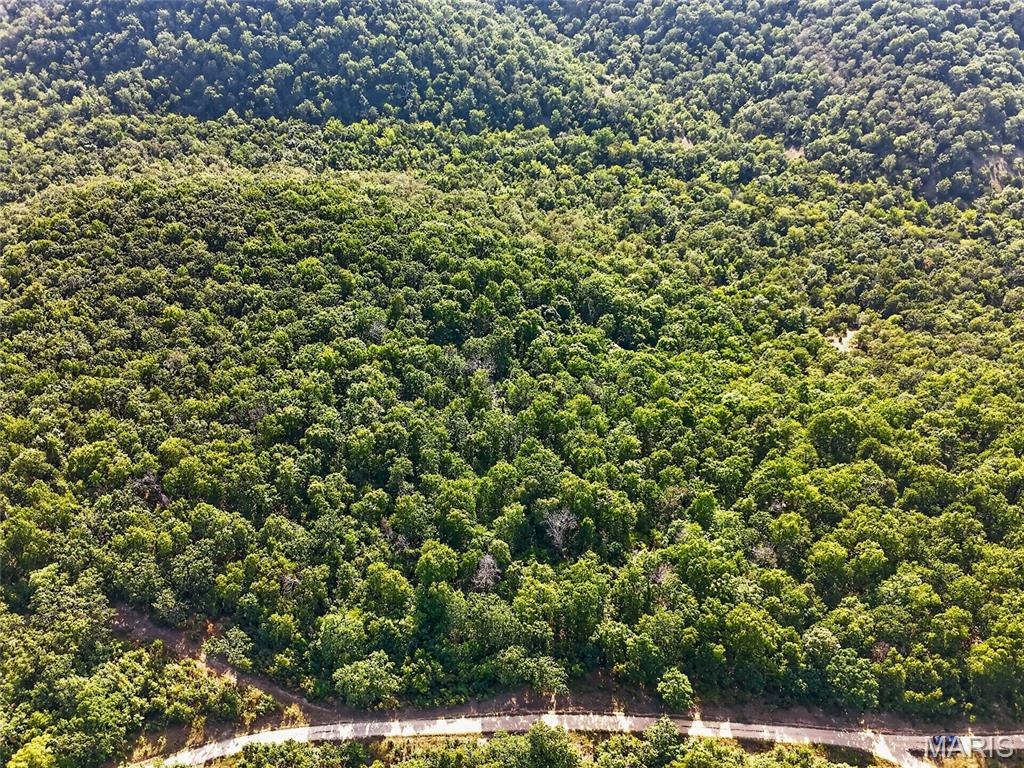 WHITETAIL RIDGE - Land
