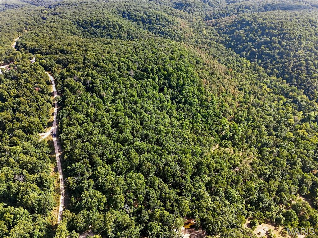 WHITETAIL RIDGE - Land