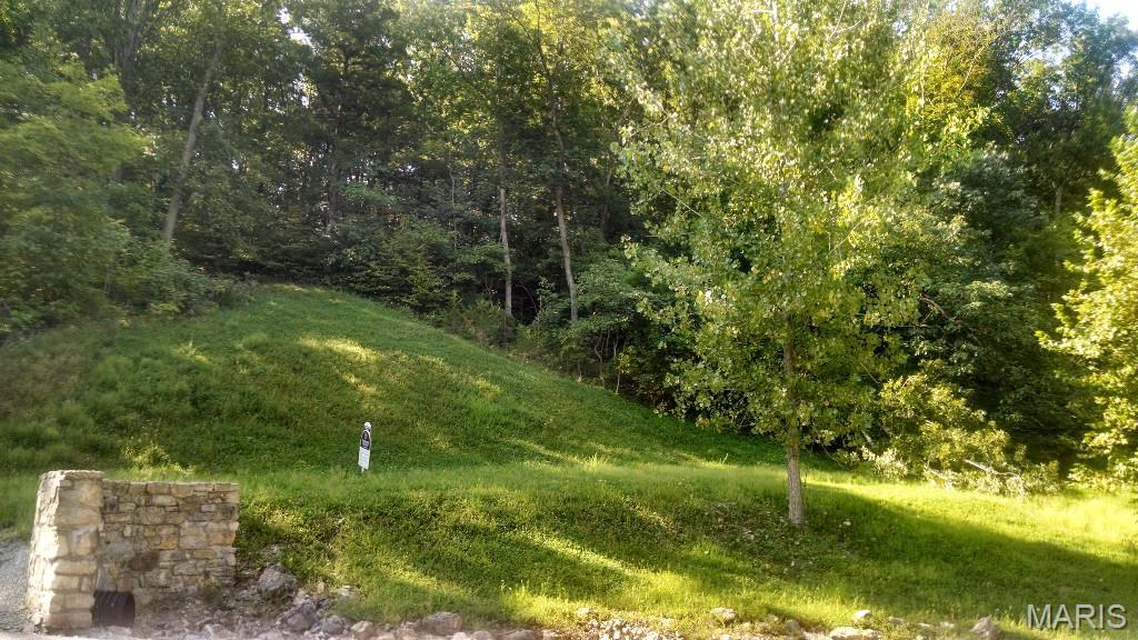 Build your dream home on this 1.69 acre wooded lot overlooking a gorgeous 60-acre lake! Wildlife galore! Augusta Shores offers many amenities: a gated entrance, private roads, 4 spring fed stocked lakes, pool, tennis/pickleball courts, clubhouse, pavilion, public sewer, public water, fiber optics, underground utilities, 233 acres of common ground, docks & streetlights. Bike the Katy Trail which is on Augusta Shores' eastern border and across Hwy 94, hike the trails in Klondike Park (also across the street), fish the lakes, or just sit on your deck & watch the birds & other wildlife. This wine country community is only 15 minutes from Hwy 40 and is within minutes of several wineries!! No time limit to build. Use your own builder or ask the listing agent about builders in this community. *There is an $800 fee per year for fiber optic cable that will cover your internet fee for that year. Additional Rooms: In Platted Subdv.
