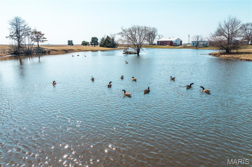 Not In A Subdivision - Farm