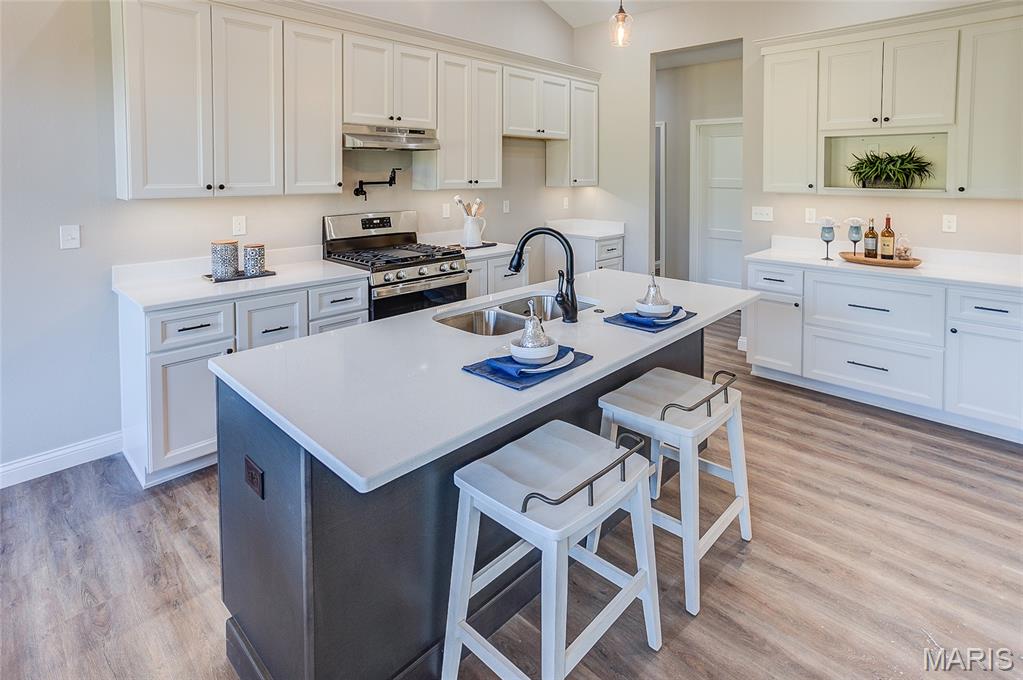 Braeswood Trails 1st Add - Residential