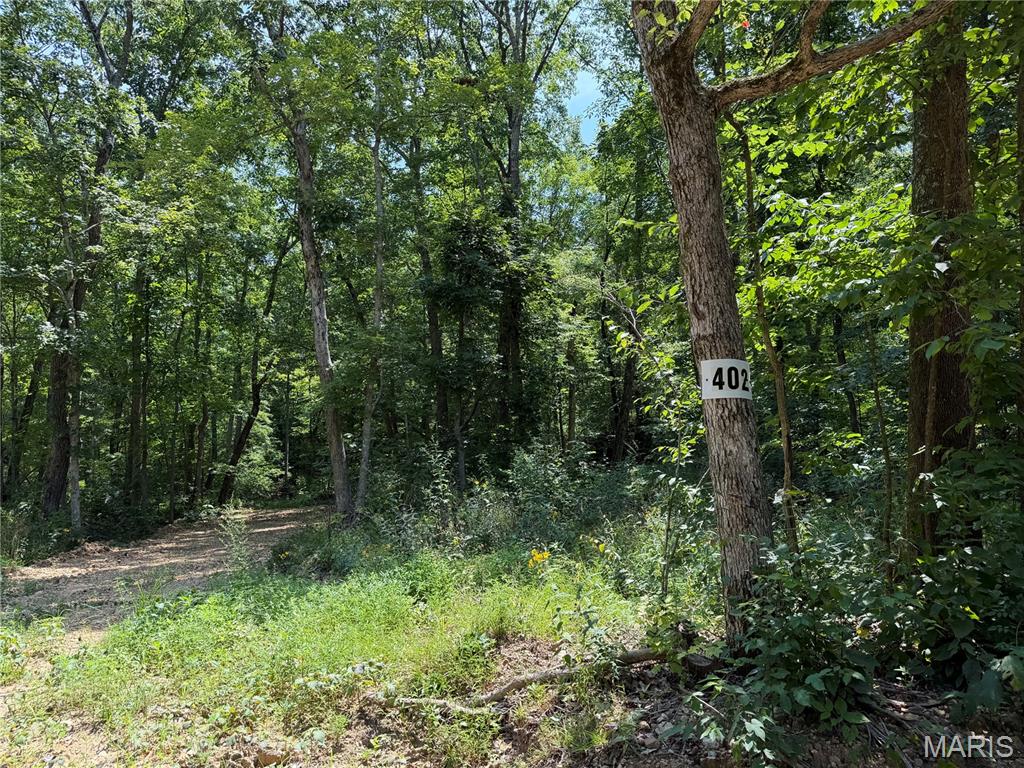 Discover the beauty, freedom, and tranquility of the Missouri Ozarks with these exceptional land offerings located south of Fredericktown, just off Highway 67 and near the Mark Twain National Forest. With multiple tracts and a variety of acreage options available, there is an opportunity to find the perfect piece of land to fit your vision. The nearby Mark Twain National Forest offers more than 22,000 acres of public land to explore, adding even more opportunity for outdoor adventure and recreation.
Many of these affordable wooded pieces offer beautiful natural surroundings, with select tracts featuring creek access, springs, and scenic views of the surrounding Ozark landscape. With no restrictions, you have the freedom to enjoy your property your way—whether that means hunting, primitive camping, building, riding ATVs, or simply finding a peaceful place to escape the pressures of everyday life. These tracts also offer access via a deeded easement gravel road leading from the county road to the property, while nearby Twelve Mile Creek provides additional opportunities to fish, explore, and enjoy the outdoors.
This is your chance to unplug, reconnect with nature, and enjoy the freedom and beauty of the great outdoors in Southeast Missouri. Whether you're searching for a private hunting retreat, a weekend getaway, a place to camp and explore, or land to create your own outdoor escape, there are many amazing tracts to choose from. Call today for more information and to explore the available options!