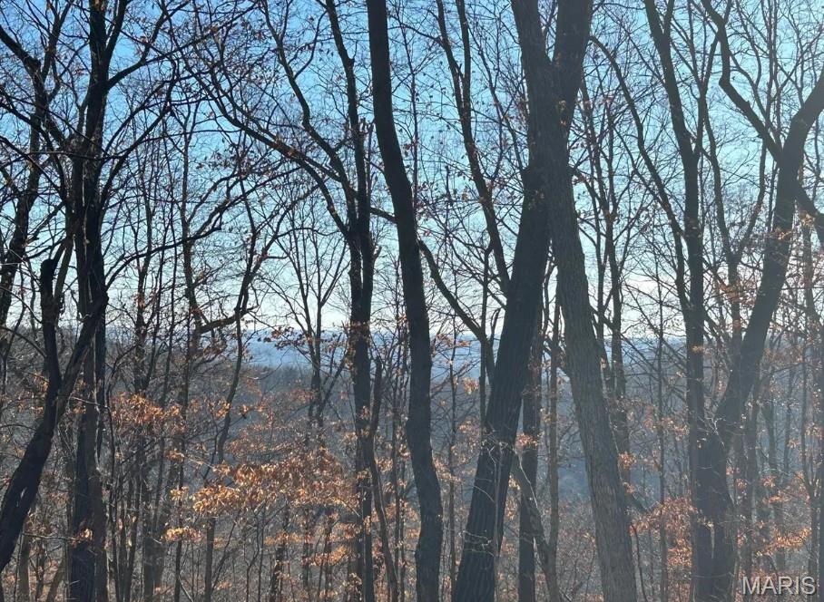 Build Your Dream Home on One of The Bluffs’ Premier Homesites!
Experience breathtaking views and exceptional privacy on this beautiful 4-acre end-of-the-road cul-de-sac lot. The semi-level building site offers an ideal setting for your dream home, with plenty of room to create the private retreat you’ve always envisioned.
Located in The Bluffs, a desirable community featuring two scenic lakes, central sewer, excellent architectural controls, asphalt streets, and underground electric. Conveniently located within the Northwest School District.
The lot’s corners are clearly marked in the field, and a restrictions survey is available. A rare opportunity to secure a gorgeous homesite with privacy, views, and the space to build something truly special!