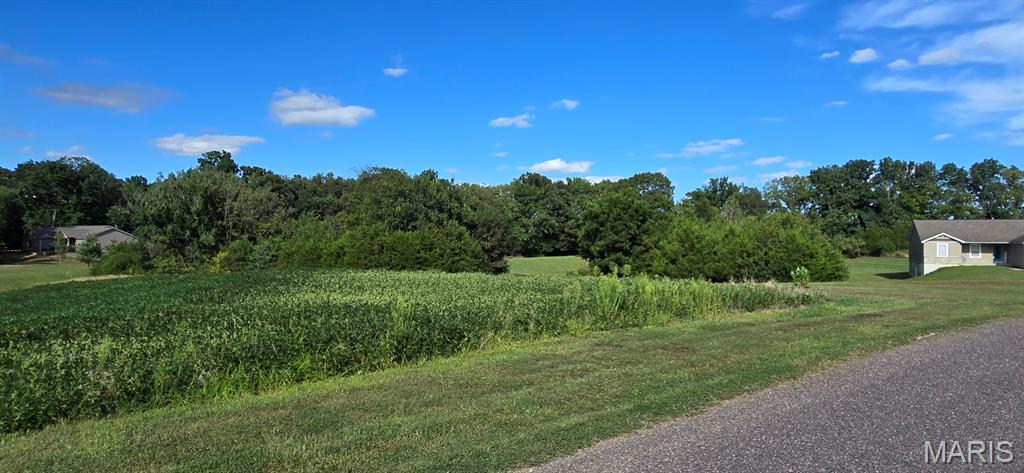 2.84 Acre Lot to build your dream home. Last lot available in sought after Clayton Meadows neighborhood. This lot features trees on all sides of the property. Enjoy your long driveway into an already cleared lot, ready for your new home. Enjoy the quiet and peace that comes with living outside of the busy hustle and bustle of town. Enjoy the native wildlife right outside your door. All lots in Clayton Meadows are on flags with a 50 foot wide section of land from the property out to Trout Camp Road for easement. Current HOA fees are $500 per year and cover for the care and maintenance of the private road into the neighborhood. HOA fees are not assessed until the completion of the home construction.