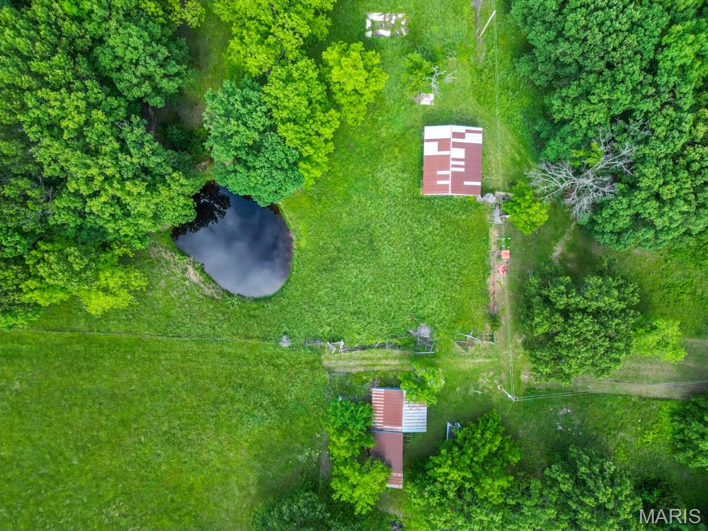 Rural - Farm