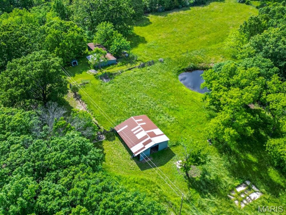 Rural - Farm