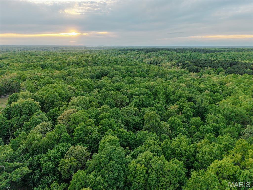 Finding private land that directly borders Mark Twain National Forest has become increasingly difficult, making this 65± acre recreational property in Dent County a rare opportunity for hunters, outdoor enthusiasts, and land investors. Located just minutes from Salem, Missouri, this property combines mature hardwood timber, year-round water, excellent wildlife habitat, highway access, and immediate access to thousands of acres of public land in the heart of the Missouri Ozarks.
With approximately 300 feet of frontage along Highway 32, the property offers convenient year-round access through an established entrance. Electric service is available onsite, making the property well suited for a future homesite, hunting cabin, recreational retreat, camping setup, or weekend basecamp.
The landscape features rolling Ozark ridges, wooded hollows, and mature white oak timber that provide excellent habitat for whitetail deer, wild turkey, and numerous small game species. The diverse topography creates natural travel corridors while offering multiple stand locations and several areas suitable for food plots to further enhance wildlife management.
Two small established wildlife ponds provide water sources throughout the year, an important feature for maintaining healthy wildlife populations and improving hunting opportunities. Existing trails can be reopened to provide convenient access for ATVs, hiking, habitat improvement projects, and quiet entry to hunting locations.
One of the property's greatest advantages is its direct boundary with Mark Twain National Forest. Buyers gain immediate access to thousands of additional acres for hunting, hiking, wildlife viewing, horseback riding, and exploring one of Missouri's premier public land destinations. Owning private land adjoining national forest creates exceptional opportunities to enjoy both managed private habitat and expansive public recreation from one location.
Beyond the property boundaries, some of southern Missouri's best outdoor destinations are only a short drive away. The nearby Current River and Meramec River offer nationally recognized floating, kayaking, canoeing, fishing, and camping opportunities. Montauk State Park is widely known for its outstanding trout fishing, while Indian Trail Conservation Area provides additional public hunting, hiking, and wildlife viewing opportunities throughout the year.
Despite its peaceful Ozark setting, everyday conveniences remain nearby. Salem is only about 10 miles away and provides shopping, restaurants, healthcare, fuel, and essential services. Rolla, St. James, Steelville, and Houston are also within comfortable driving distance, making this property convenient for weekend recreation or future residential use.
Whether your goals include owning Missouri hunting land, investing in quality timber, building a cabin, or creating a private recreational retreat with direct access to public land, this Dent County property offers an increasingly uncommon combination of location, accessibility, natural resources, and outdoor opportunity. Properties bordering Mark Twain National Forest with highway frontage, electric availability, wildlife water sources, and mature timber continue to be among the most desirable recreational land offerings in the Missouri Ozarks.