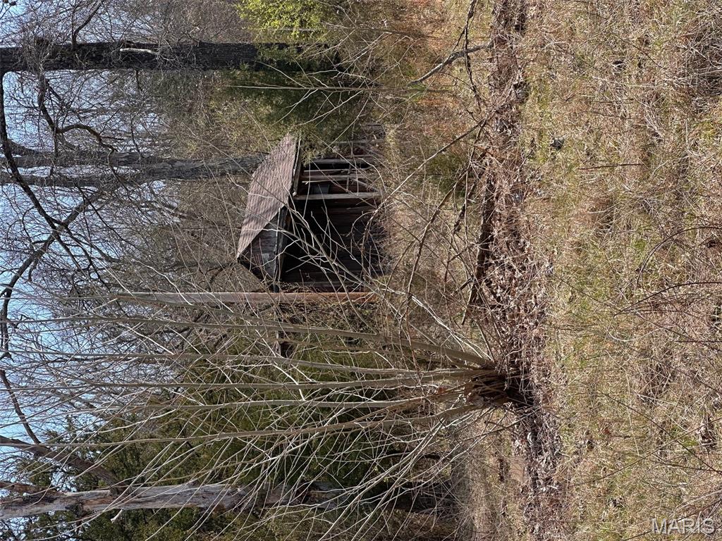 Big Woods - Land