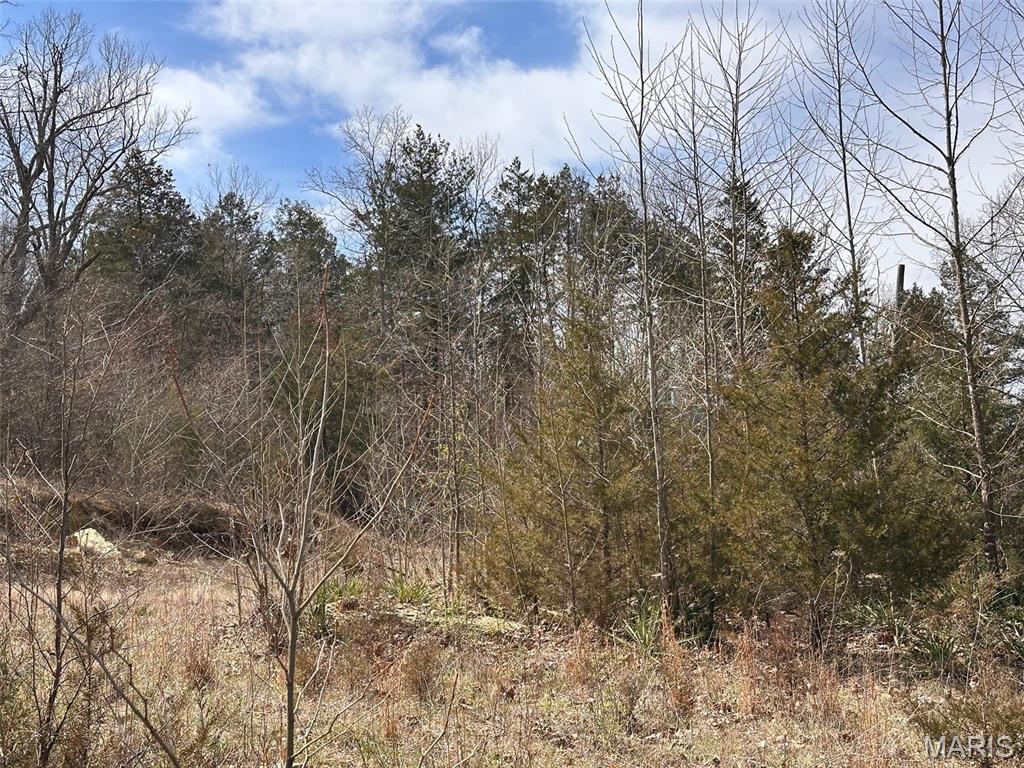 Big Woods - Land