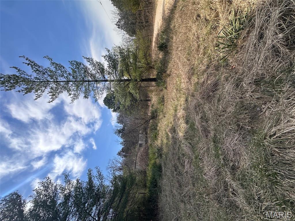 Big Woods - Land