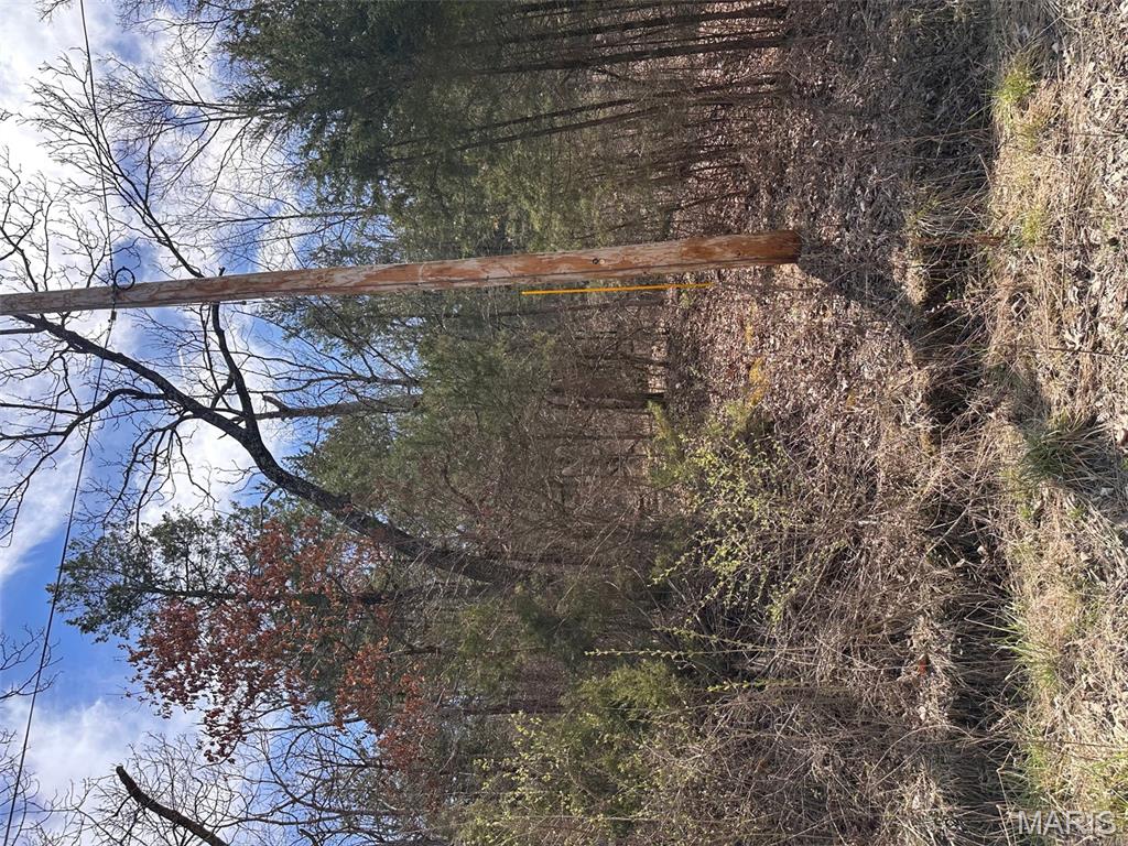 Big Woods - Land