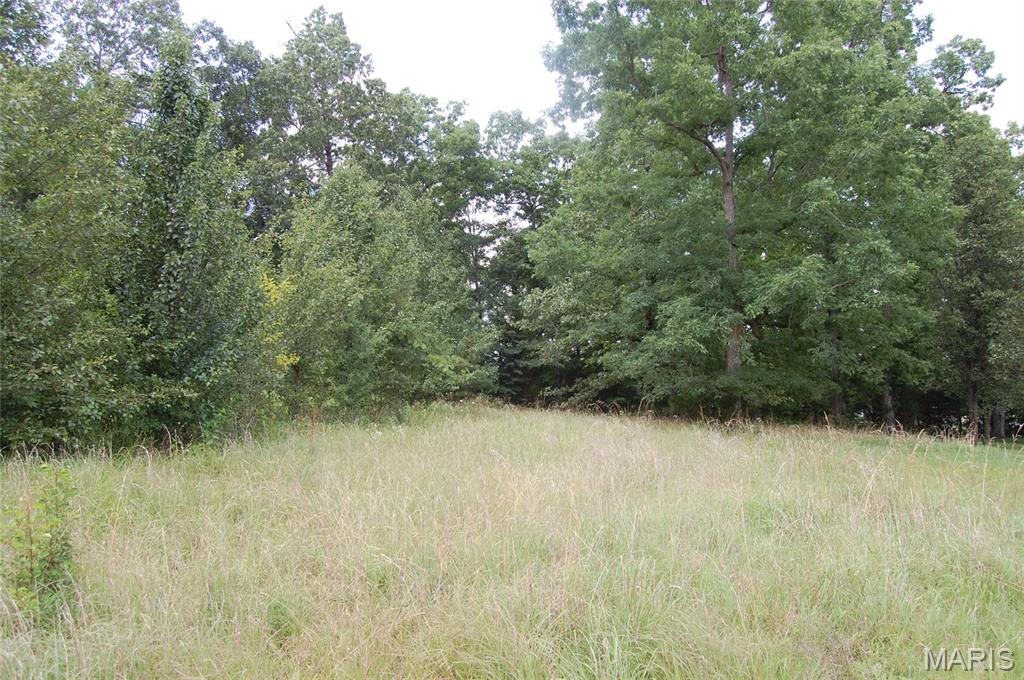 Patillo & Guess Estates - Land