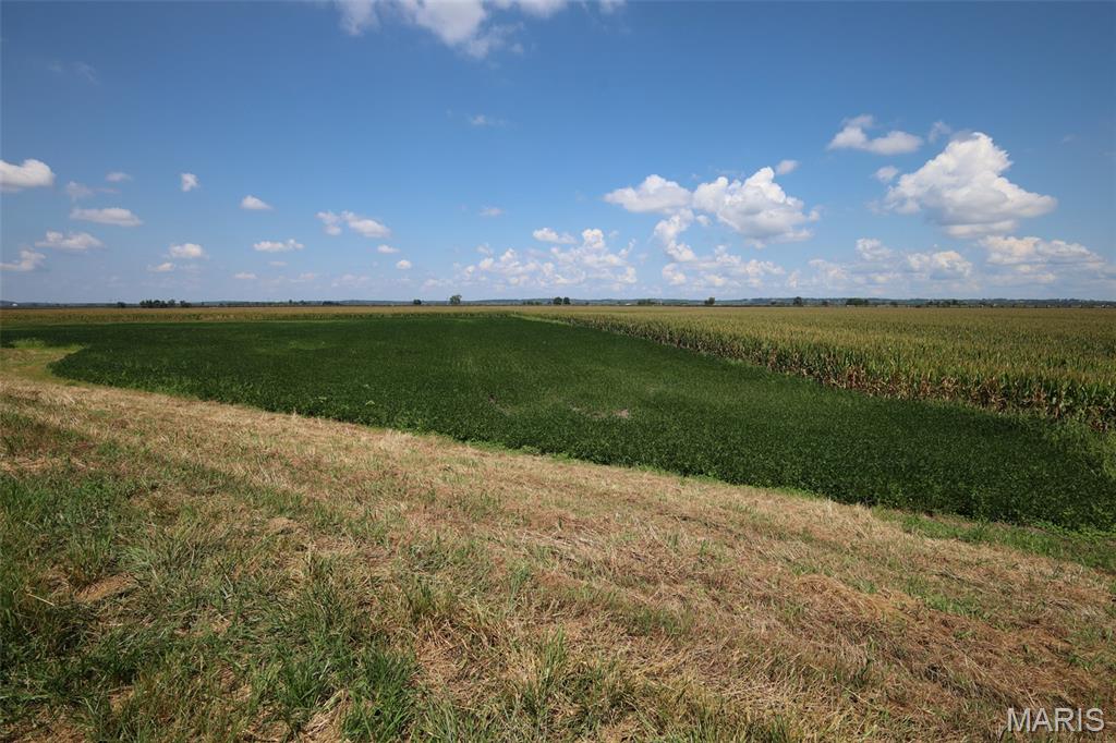 N/A - Farm
