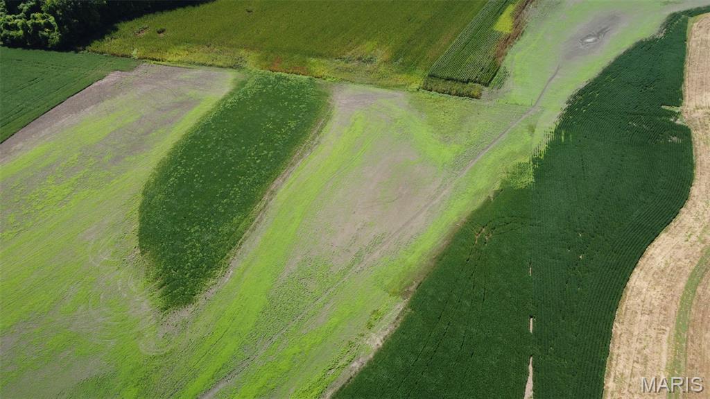 N/A - Farm