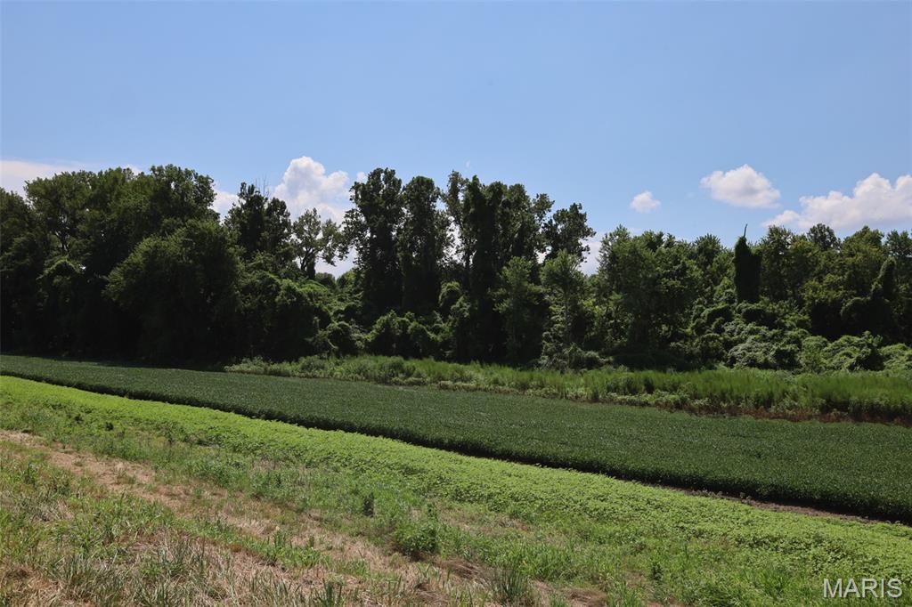 N/A - Farm