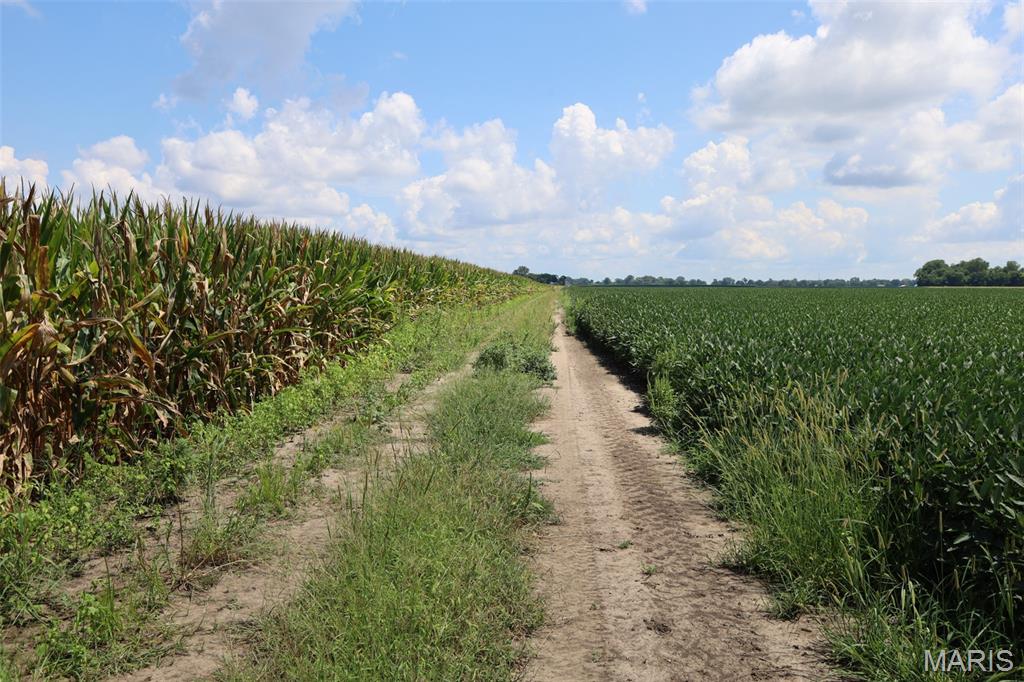 N/A - Farm