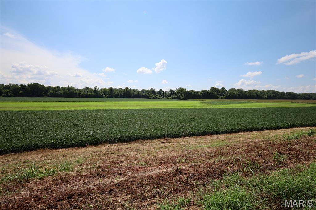 N/A - Farm