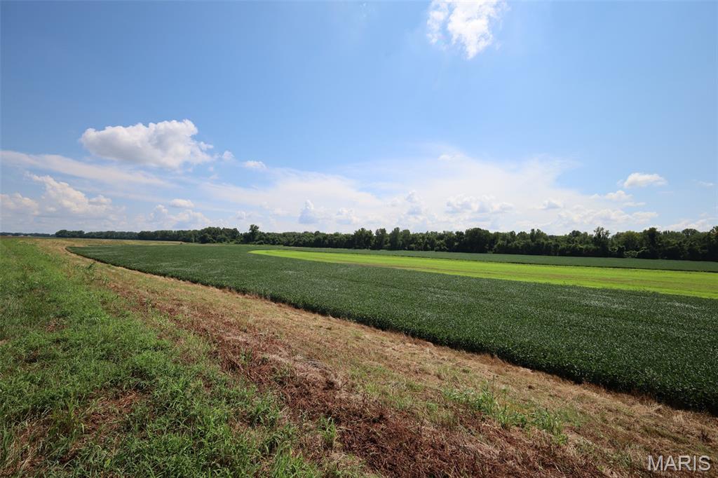 N/A - Farm