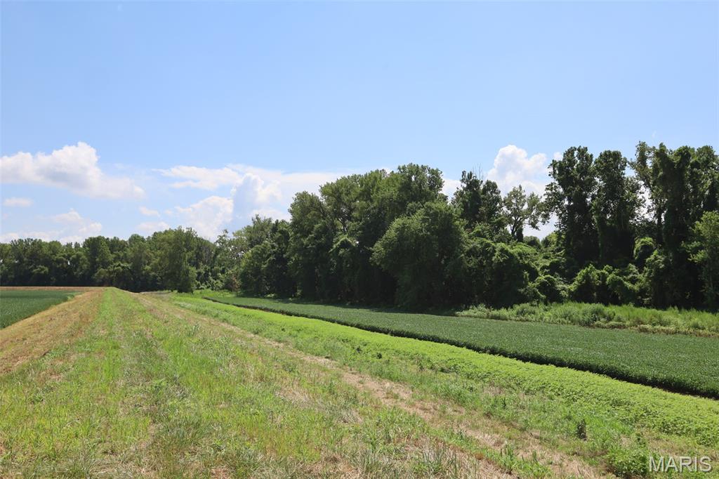 N/A - Farm