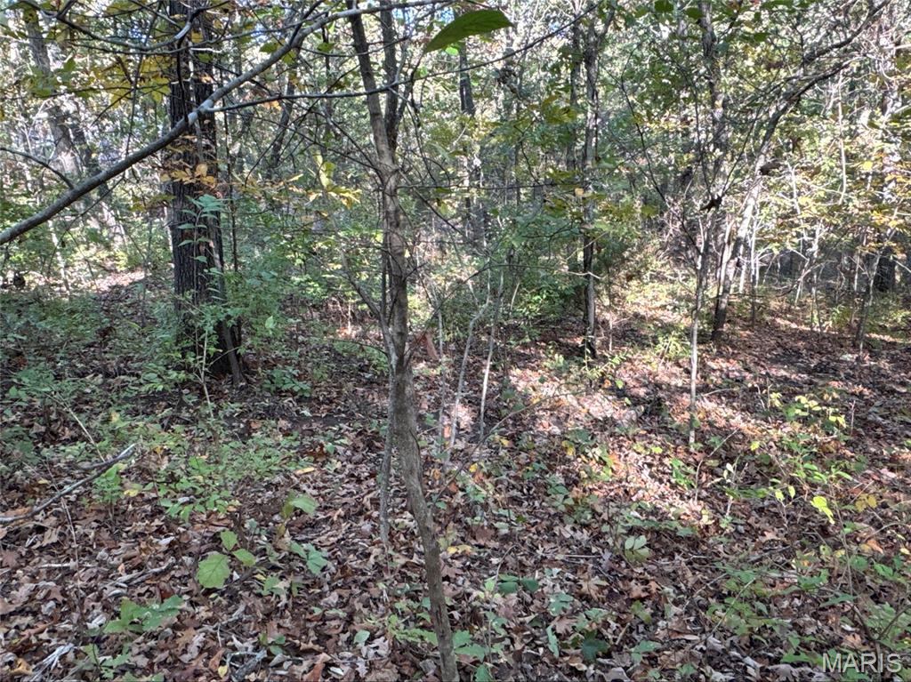 Lake Timberline lake lot. Vacant.
