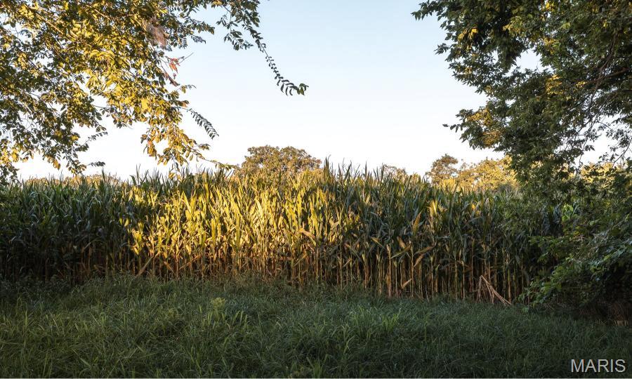 Not in a Subdivision - Farm
