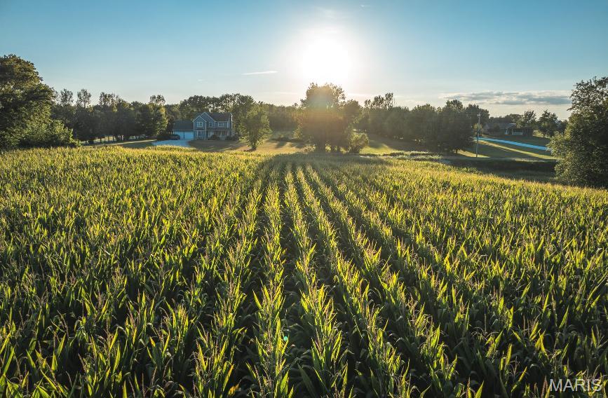 Not in a Subdivision - Farm