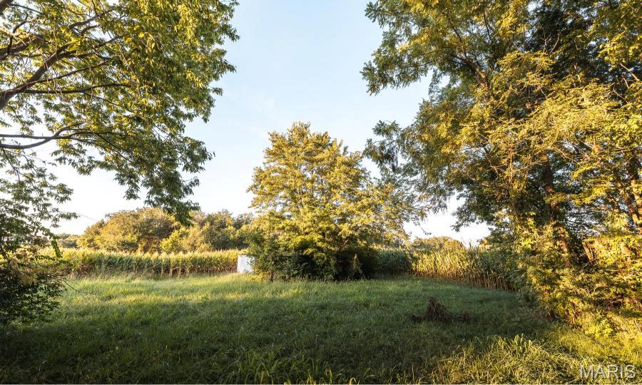 Not in a Subdivision - Farm