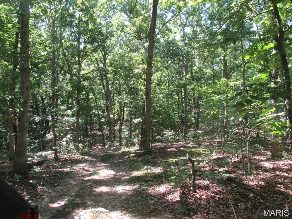 Woodland Lakes - Land