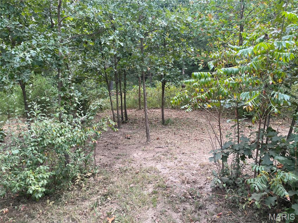 Winding Woods Estates - Land
