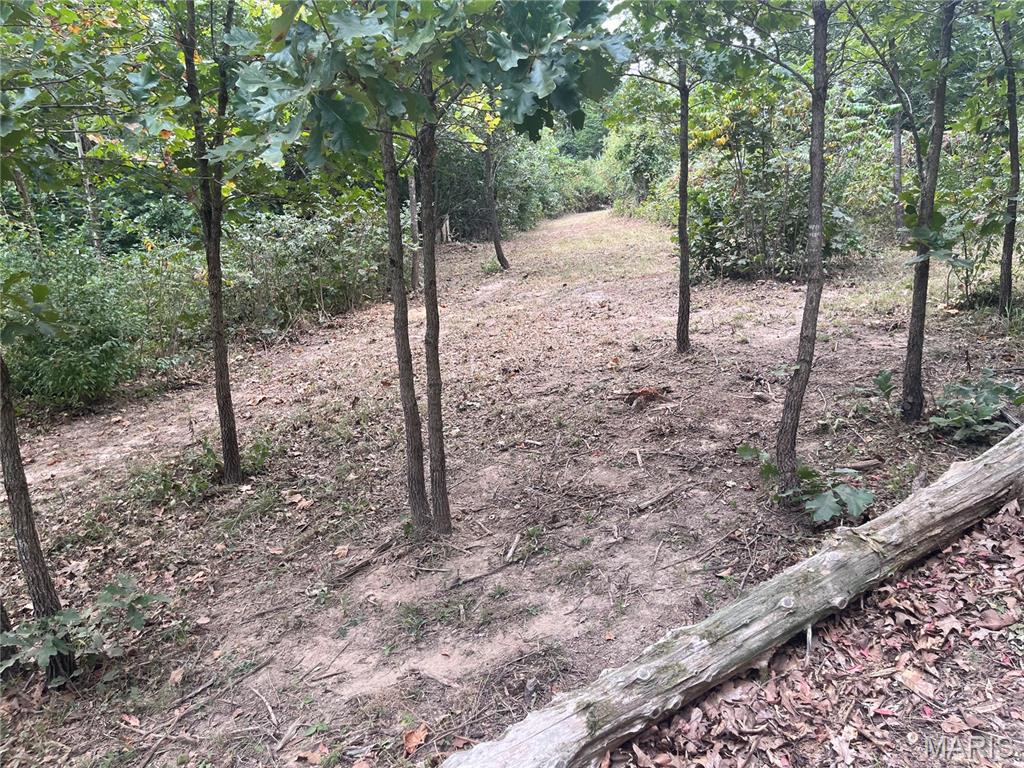 Winding Woods Estates - Land
