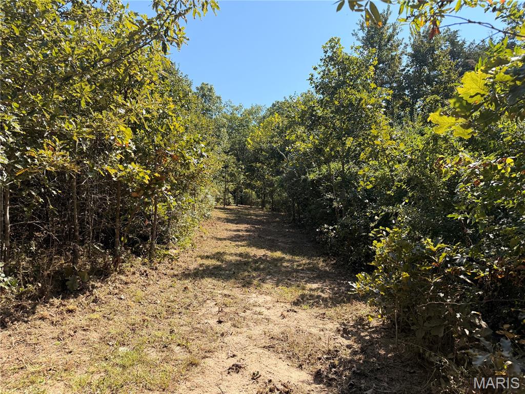 Winding Woods Estates - Land