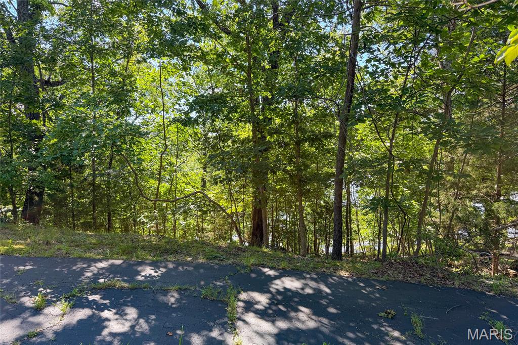 Sycamore Park - Land