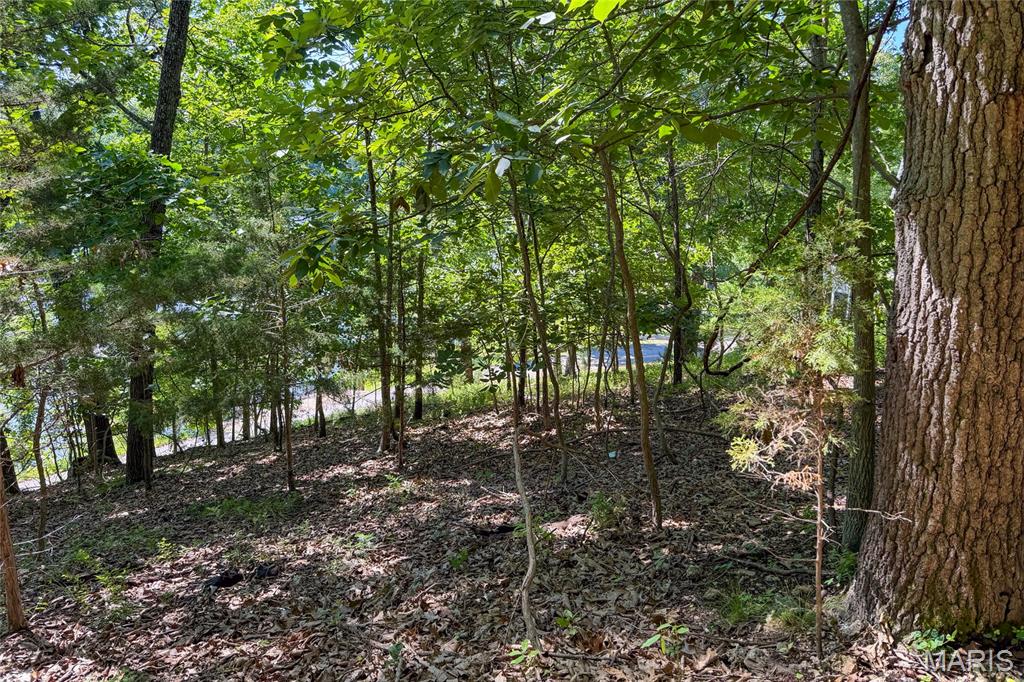 Sycamore Park - Land
