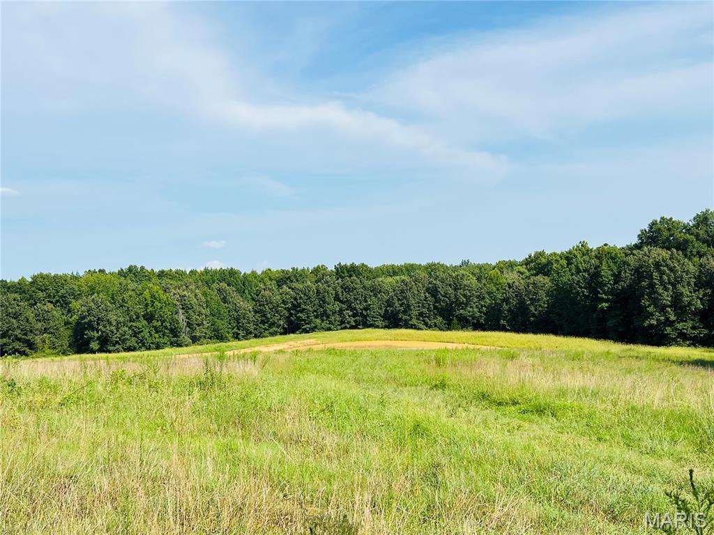 Whether you're looking for a place to hunt or the perfect place to build your forever home, here is the property for you! With a newly created pond, ample woods and being located near Castor River, this property provides great hunting opportunities! Looking for a place to build a home? This property has open pasture ground perfect for a homesite overlooking the pond! Needing a place for your livestock? This property provides pasture, wooded ground and a large pond for all your livestock needs! This property is approximately 3 miles from Arab, 6 miles from Advance, and a short drive to Cape Girardeau!

**More photos to come**