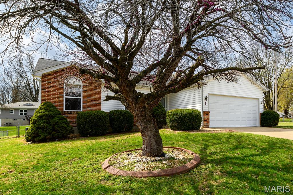 Pine Tree Court - Residential