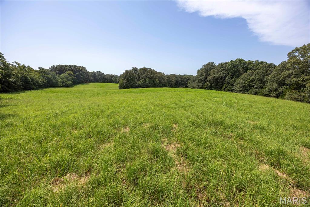 Escape to the peace and privacy of the countryside with this beautiful 14± acre tract in Millersville. Offering an attractive mix of mature timber and open grass/hay fields, this property provides a secluded setting with plenty of possibilities for your future.

A new access road has constructed that will provide convenient access to the property while maintaining the private, tucked-away feel that makes this tract so appealing. Choose your spot among the mature trees or overlooking the open ground and create the country home you've been envisioning.

With room for a home, shop, garden, animals, or pasture, this property would make an excellent homestead or mini farm. The combination of woods and open acreage also provides opportunities for recreation and enjoying the wildlife that country living has to offer.

Whether you're ready to build your forever home or simply looking for your own peaceful piece of Southeast Missouri, this Millersville property offers the space, privacy, and versatility to make it your own.

**Approximately 14 acres. Final acreage and boundary lines to be determined by survey prior to closing.**