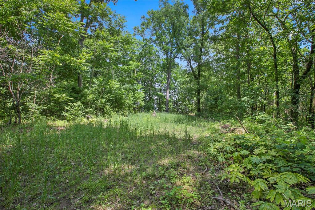 Words can't describe the beauty of this almost 9 acres of ground with a view of the Mississippi River Valley and US Fish and Wildlife land from the back of your future building spot.  Just below the bluff is the Burlington Northern Rail Road track that adds to the majestic views with the far off sounds of the train rumble.  This area features large acreage lots with custom homes.   Bring your side by side or golf cart, or take a leisurely walk in the 2+ miles of roads throughout the neighborhood.  Minimum square footage is 2500 on main level for a ranch style home, three car side entry garage is required.  Lot may not be subdivided to keep the number of homes to a minimum on this 300+ acre neighborhood.  Protect your home value and build your dream home today.  Bring your own builder or inquire for pricing for your plan.