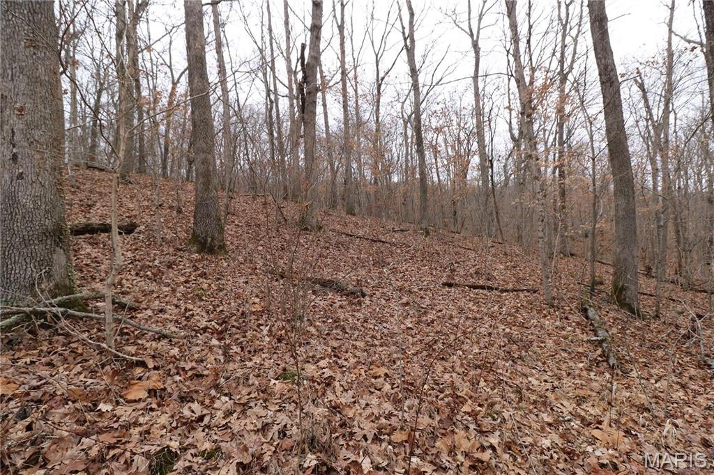Anthonies Mill - Land