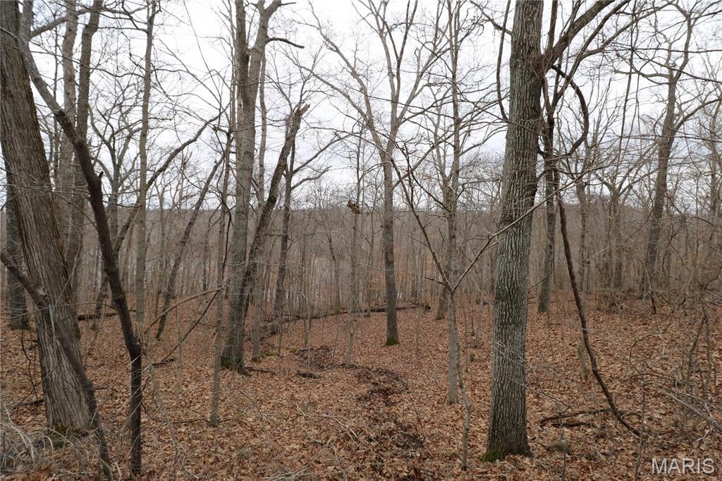 Anthonies Mill - Land