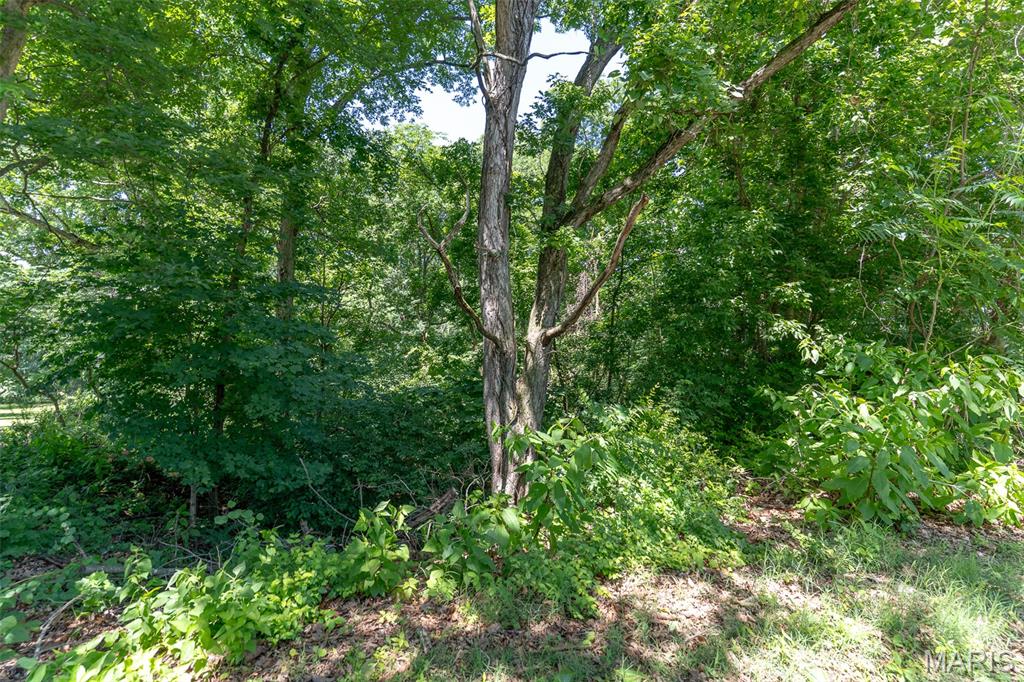 Werthwoods - Land
