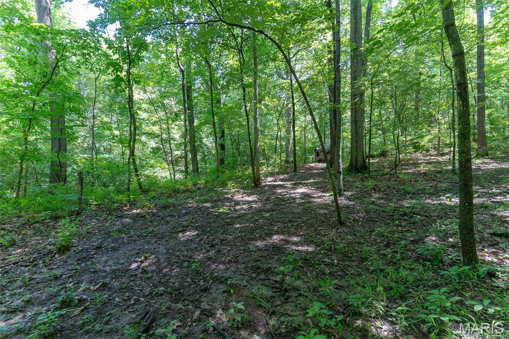 Werthwoods - Land
