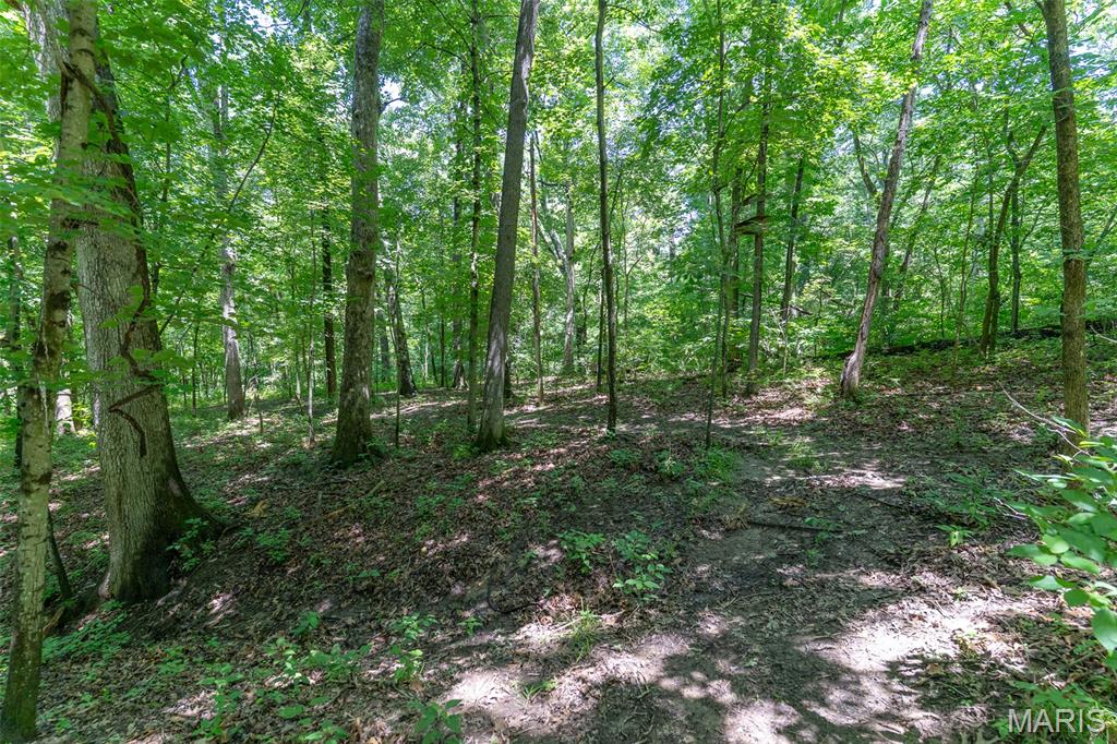 Werthwoods - Land