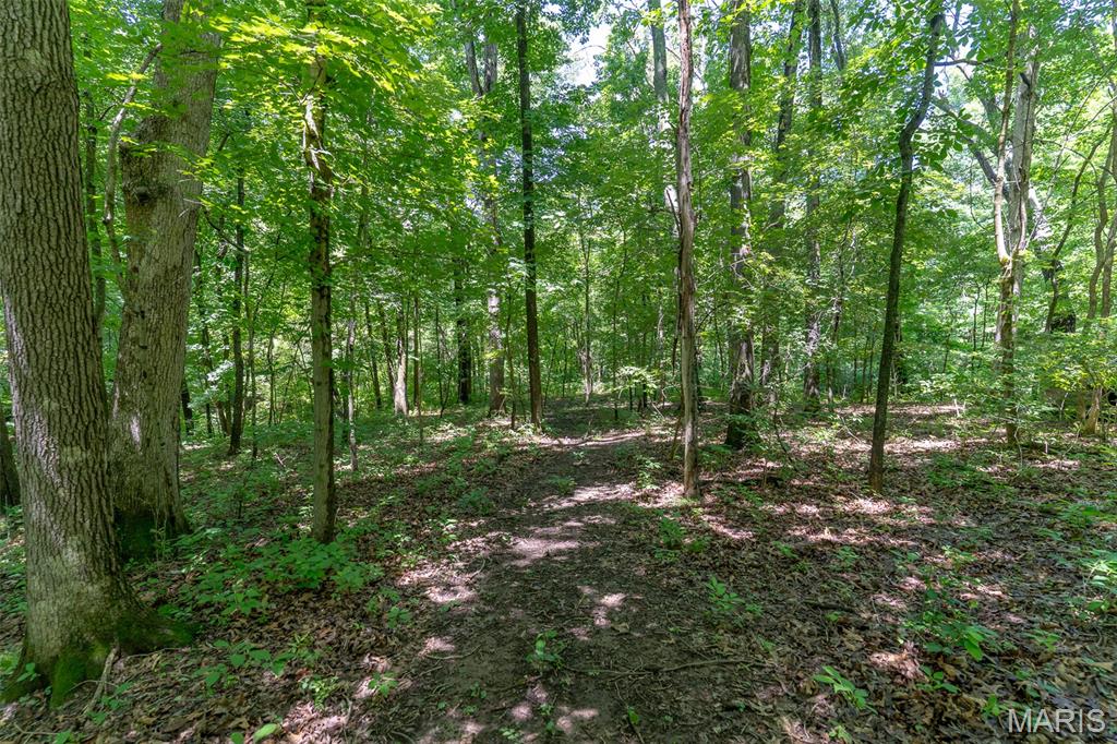 Werthwoods - Land