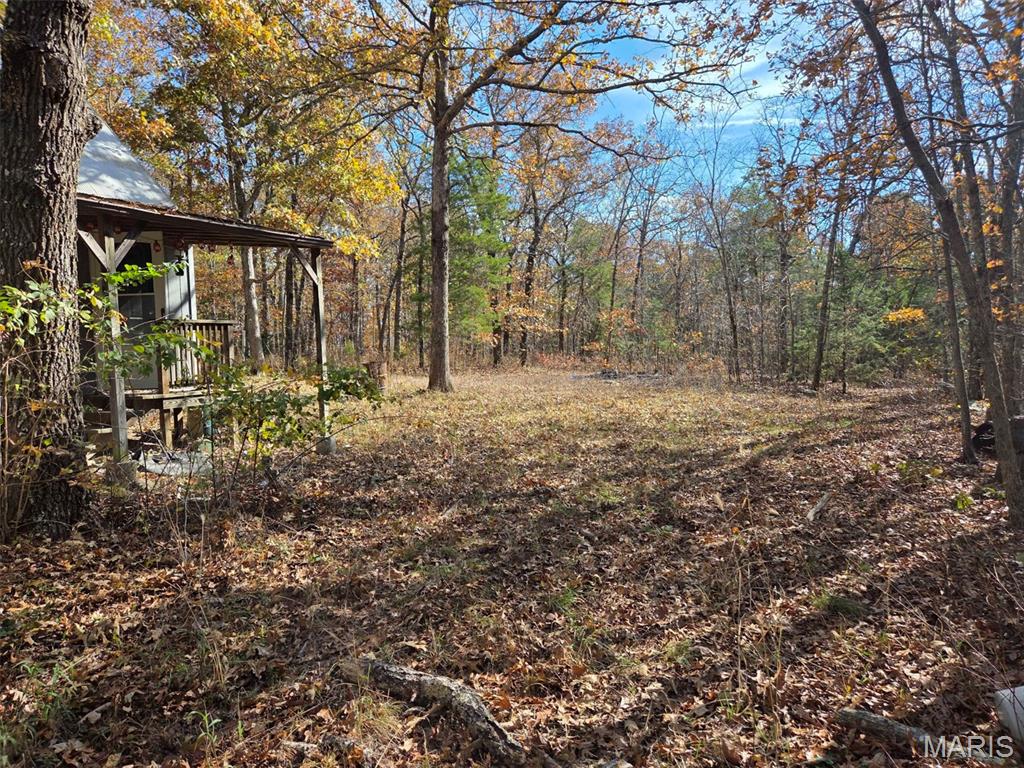 Saddle Club - Farm