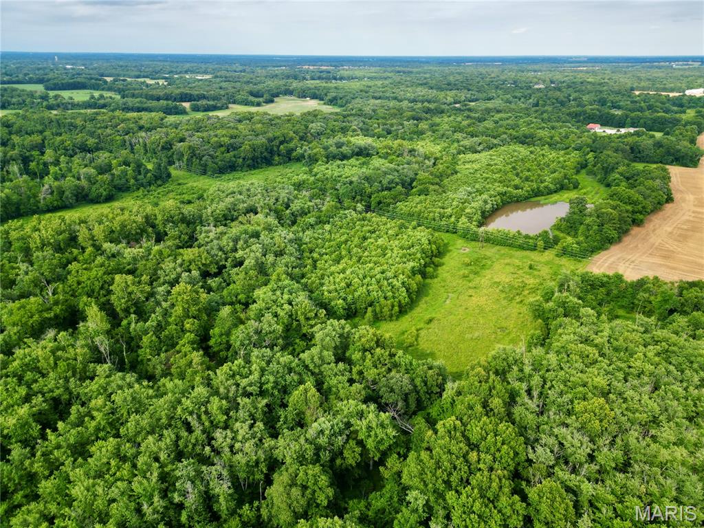 Opportunities to own recreational land in Marion County are few and far between, making this exceptional 61± acre tract one you won't want to miss. Located just south of Salem, this farm is super easy to get to and not too far from town
 The property features outstanding deer habitat with multiple natural pinch points that create ideal stand locations. One of the best setups is between Crooked Creek and the approximately one-acre pond—a proven funnel and pinch point that naturally funnels deer movement during the rut.
Approximately 5 acres of open ground offer the perfect opportunity to establish food plots, helping you attract and hold deer on the property year-round. You could plant the open area to a large food plot, put a blind on the southern end and blow your wind back over the wide open ag field.
 The combination of bedding cover, water sources and food plot potential creates everything needed to manage and hunt mature whitetails.
Crooked Creek borders the entire northern boundary, providing a year-round water source while also creating a natural funnel.  The creek, pond, timber, and open acreage combine to create a diverse landscape.
If you've been waiting for quality land to hit the market in Marion County, this is your chance. Properties like this are becoming increasingly difficult to find. Don't miss the opportunity to own a highly huntable tract with outstanding habitat, excellent food plot locations, and the potential to become one of the best farms in the area.