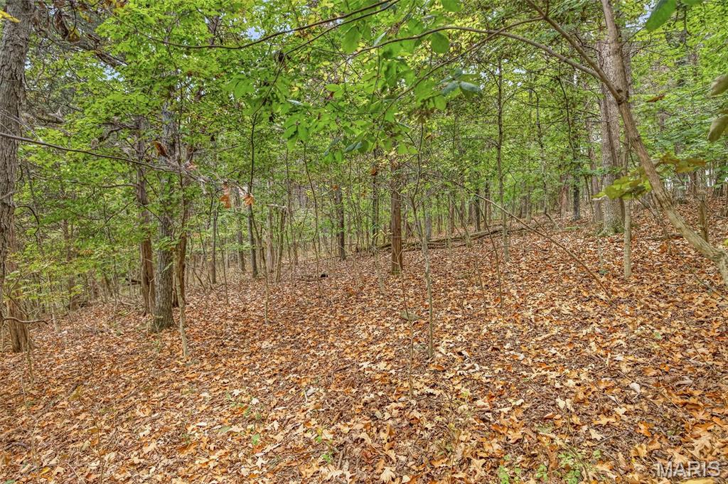 Raintree Plantation Sec 23 - Land