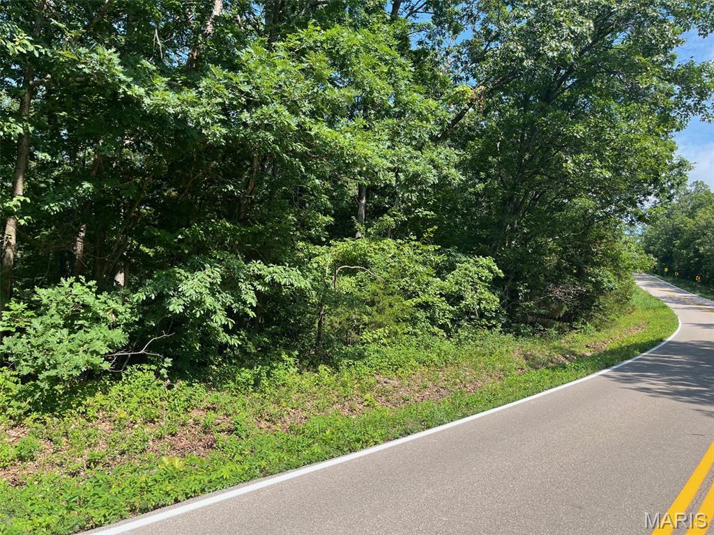 This 10 acres offers a perfect blend of privacy and convenience, featuring mature trees, abundant wildlife, and plenty of room for a homesite, recreation, or investment. Enjoy the peaceful setting of a wooded retreat while remaining close to shopping, dining, schools, and other amenities. Easy access with endless possibilities for building, hunting, hiking, or simply enjoying nature. A must see!!