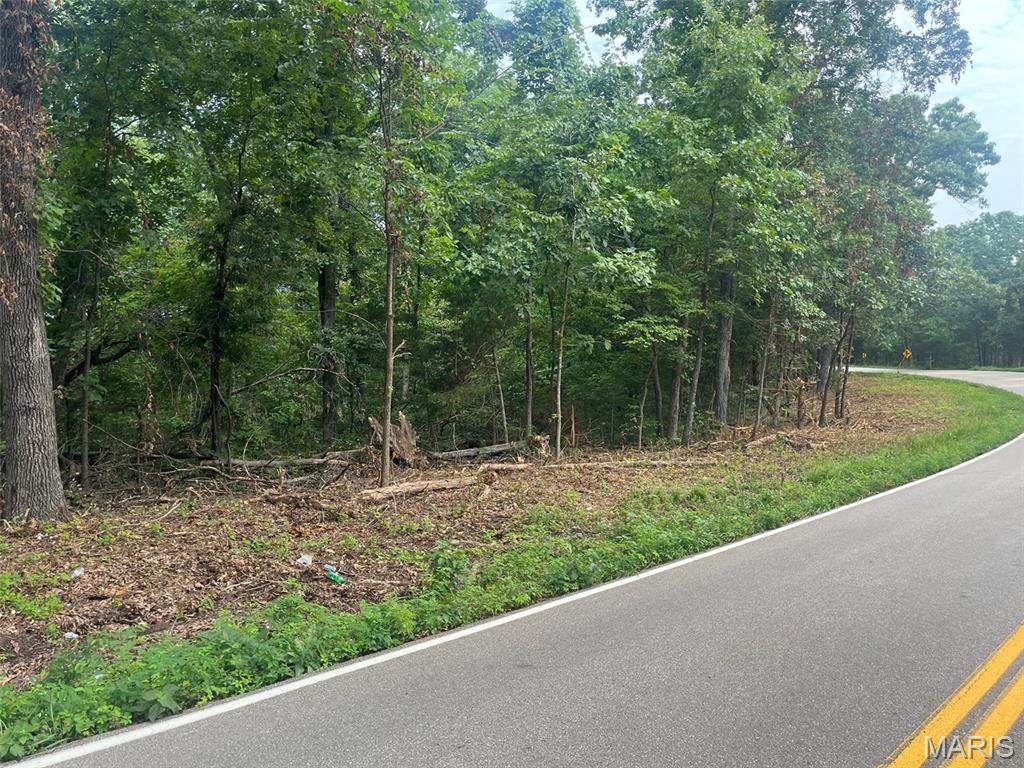 This 10 acres offers a perfect blend of privacy and convenience, featuring mature trees, abundant wildlife, and plenty of room for a homesite, recreation, or investment. Enjoy the peaceful setting of a wooded retreat while remaining close to shopping, dining, schools, and other amenities. Easy access with endless possibilities for building, hunting, hiking, or simply enjoying nature. With road frontage for easy access and no restrictions, you have the flexibility to build the home, cabin, barndominium, or getaway you've always wanted. Bring your builder, your plans, and your vision—this property is ready for it.  A must see!!